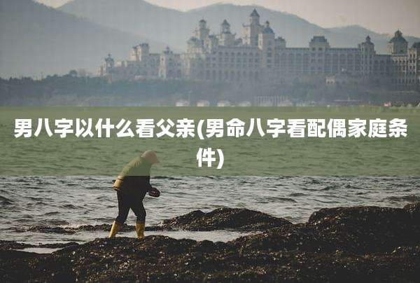 男八字以什么看父亲(男命八字看配偶家庭条件)