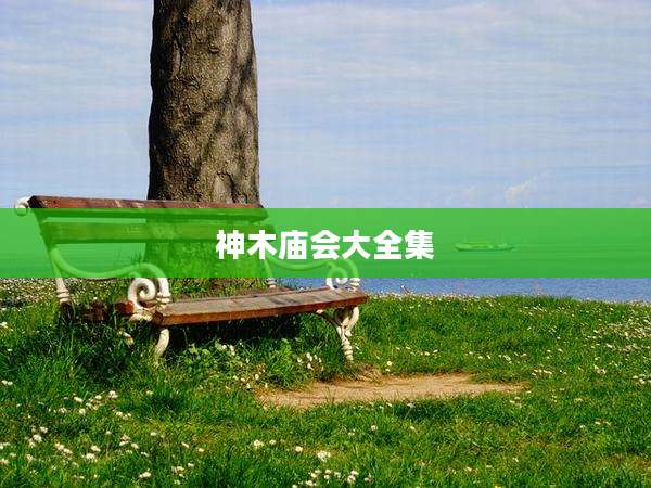 神木庙会大全集