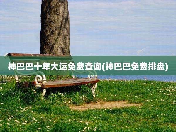 神巴巴十年大运免费查询(神巴巴免费排盘)
