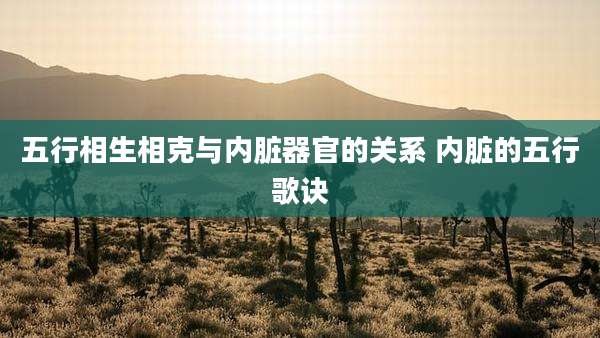 五行相生相克与内脏器官的关系 内脏的五行歌诀