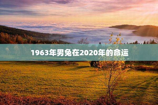 1963年男兔在2020年的命运