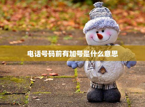 电话号码前有加号是什么意思