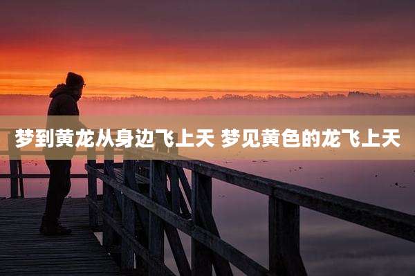 梦到黄龙从身边飞上天 梦见黄色的龙飞上天