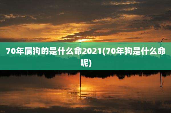 70年属狗的是什么命2021(70年狗是什么命呢)