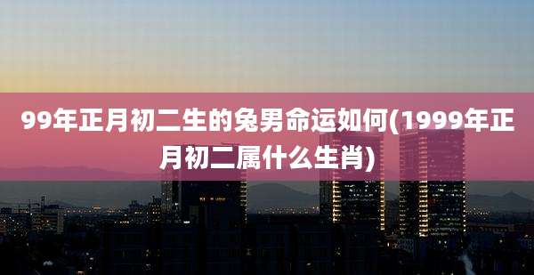 99年正月初二生的兔男命运如何(1999年正月初二属什么生肖)