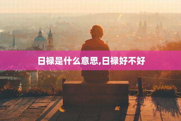 日禄是什么意思,日禄好不好