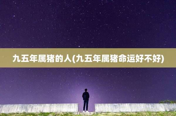 九五年属猪的人(九五年属猪命运好不好)