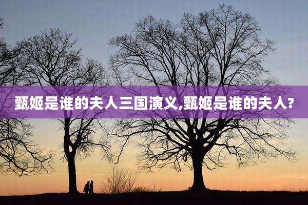 甄姬是谁的夫人三国演义,甄姬是谁的夫人?