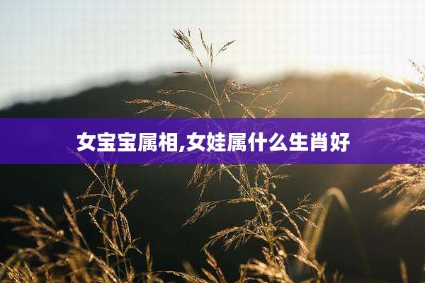女宝宝属相,女娃属什么生肖好