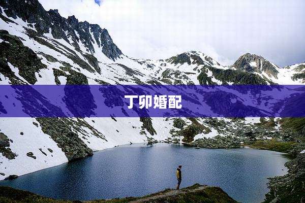 丁卯婚配
