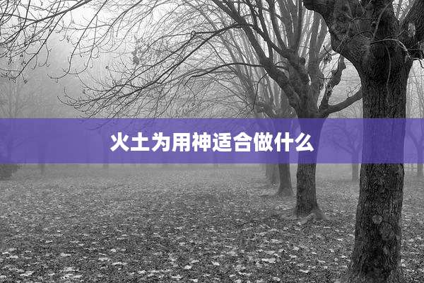 火土为用神适合做什么