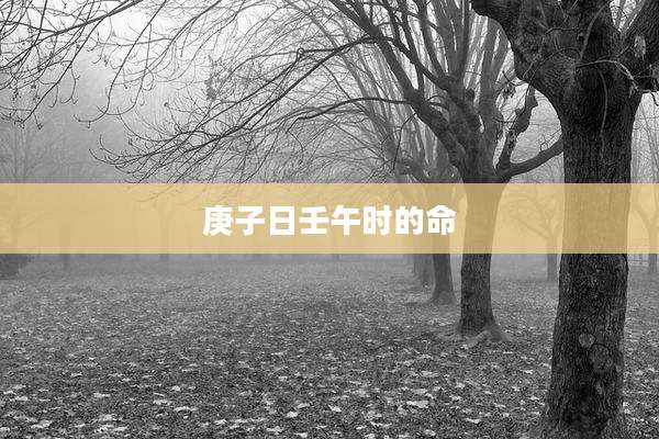 庚子日壬午时的命