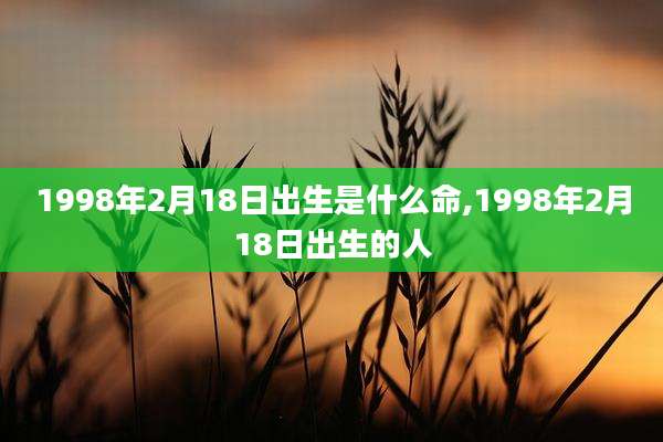 1998年2月18日出生是什么命,1998年2月18日出生的人