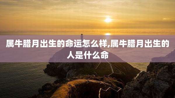 属牛腊月出生的命运怎么样,属牛腊月出生的人是什么命
