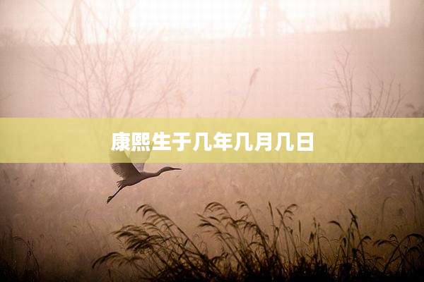 康熙生于几年几月几日