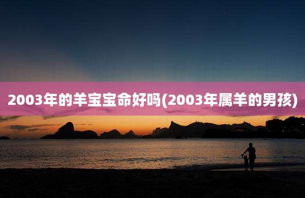 2003年的羊宝宝命好吗(2003年属羊的男孩)