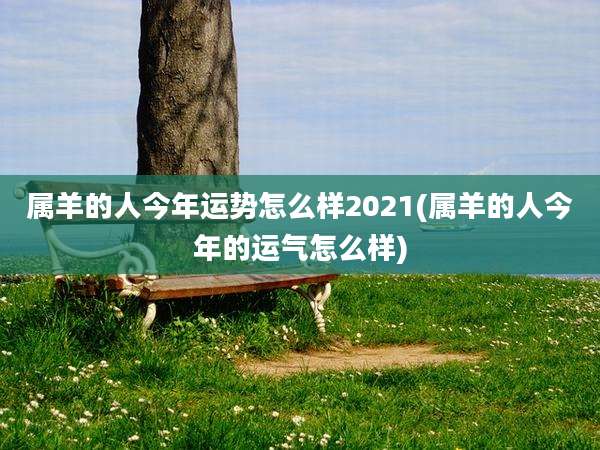 属羊的人今年运势怎么样2021(属羊的人今年的运气怎么样)
