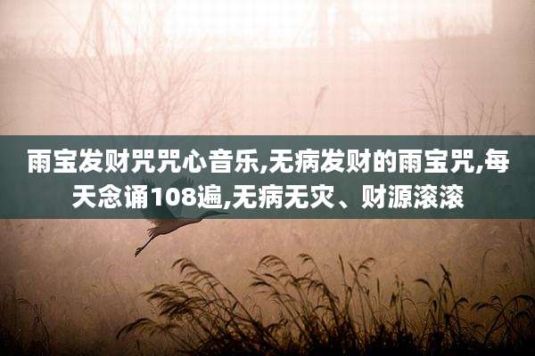雨宝发财咒咒心音乐,无病发财的雨宝咒,每天念诵108遍,无病无灾、财源滚滚