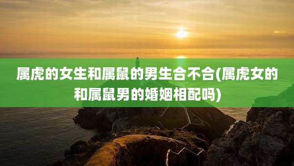 属虎的女生和属鼠的男生合不合(属虎女的和属鼠男的婚姻相配吗)
