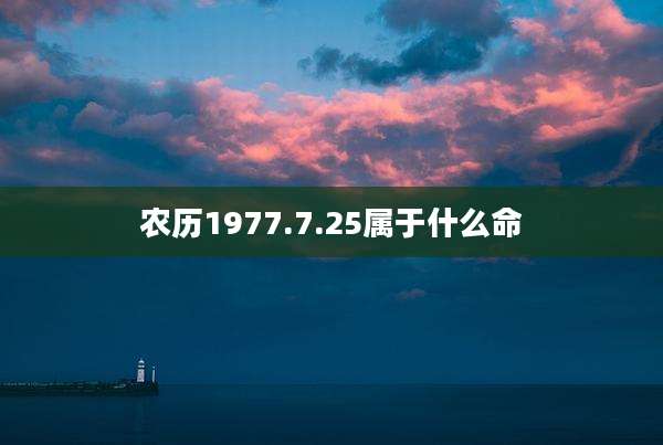 农历1977.7.25属于什么命