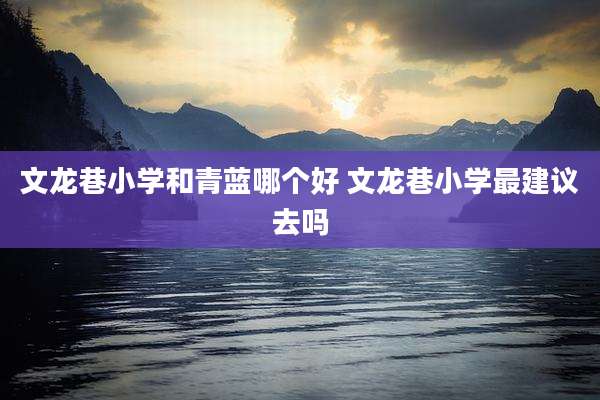 文龙巷小学和青蓝哪个好 文龙巷小学最建议去吗