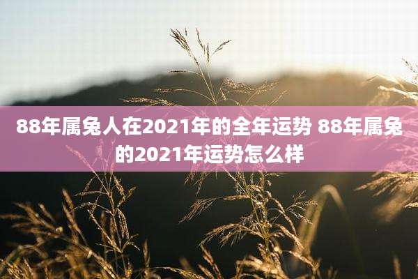 88年属兔人在2021年的全年运势 88年属兔的2021年运势怎么样