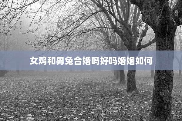 女鸡和男兔合婚吗好吗婚姻如何