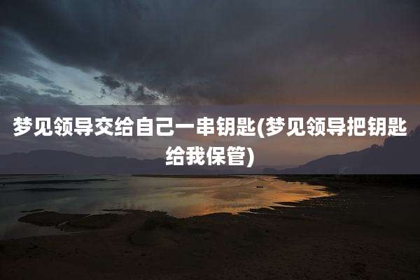 梦见领导交给自己一串钥匙(梦见领导把钥匙给我保管)