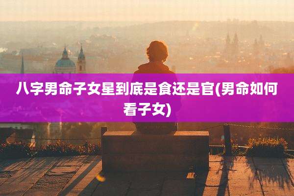 八字男命子女星到底是食还是官(男命如何看子女)