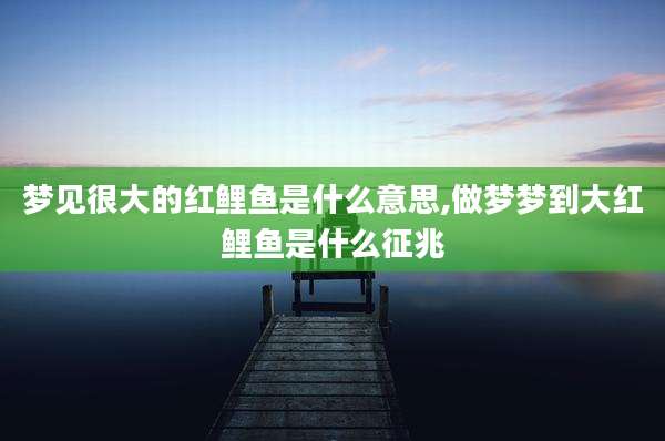 梦见很大的红鲤鱼是什么意思,做梦梦到大红鲤鱼是什么征兆