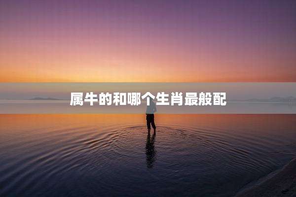 属牛的和哪个生肖最般配