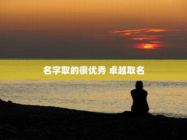 名字取的很优秀 卓越取名