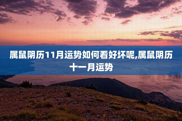 属鼠阴历11月运势如何看好坏呢,属鼠阴历十一月运势