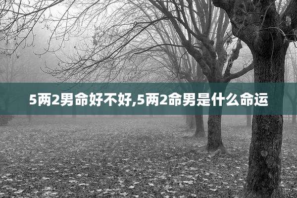 5两2男命好不好,5两2命男是什么命运