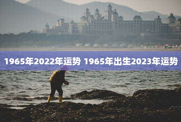 1965年2022年运势 1965年出生2023年运势