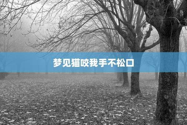 梦见猫咬我手不松口