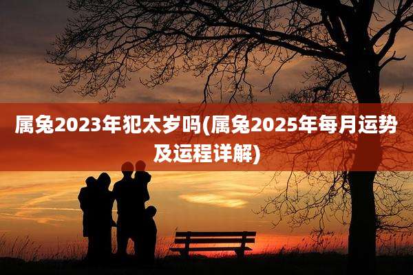 属兔2023年犯太岁吗(属兔2025年每月运势及运程详解)