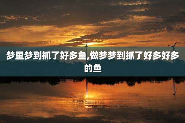 梦里梦到抓了好多鱼,做梦梦到抓了好多好多的鱼