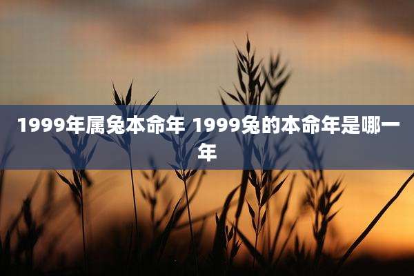1999年属兔本命年 1999兔的本命年是哪一年