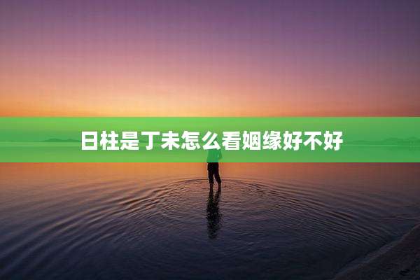 日柱是丁未怎么看姻缘好不好
