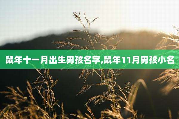 鼠年十一月出生男孩名字,鼠年11月男孩小名