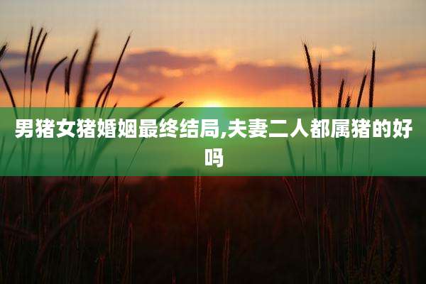 男猪女猪婚姻最终结局,夫妻二人都属猪的好吗
