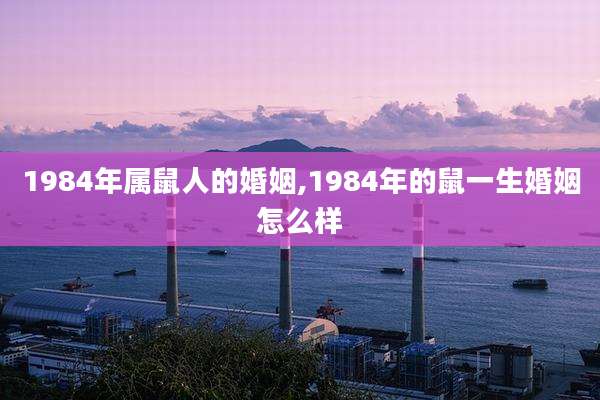 1984年属鼠人的婚姻,1984年的鼠一生婚姻怎么样
