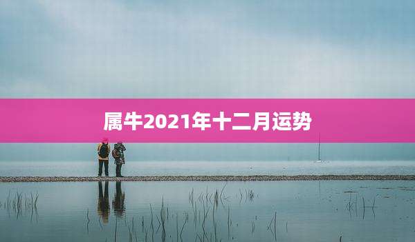 属牛2021年十二月运势