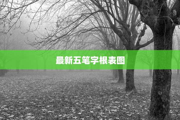 最新五笔字根表图