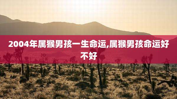 2004年属猴男孩一生命运,属猴男孩命运好不好