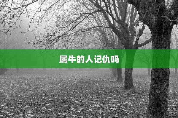 属牛的人记仇吗