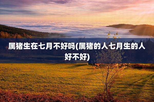 属猪生在七月不好吗(属猪的人七月生的人好不好)