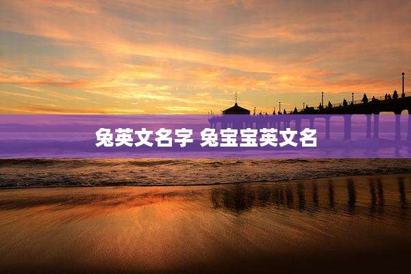 兔英文名字 兔宝宝英文名