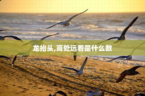 龙抬头,高处远看是什么数